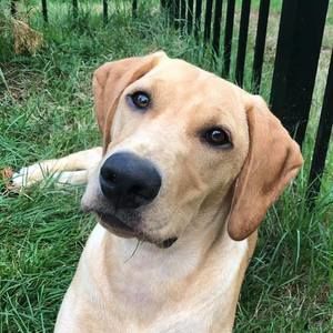 Meet your Posher, Cathy